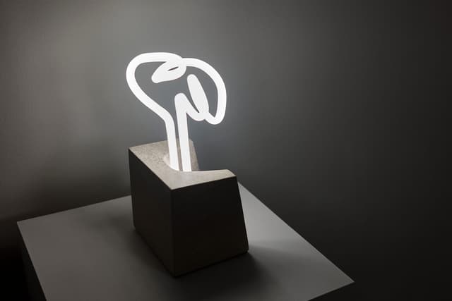 Limestone and Neon Lamp